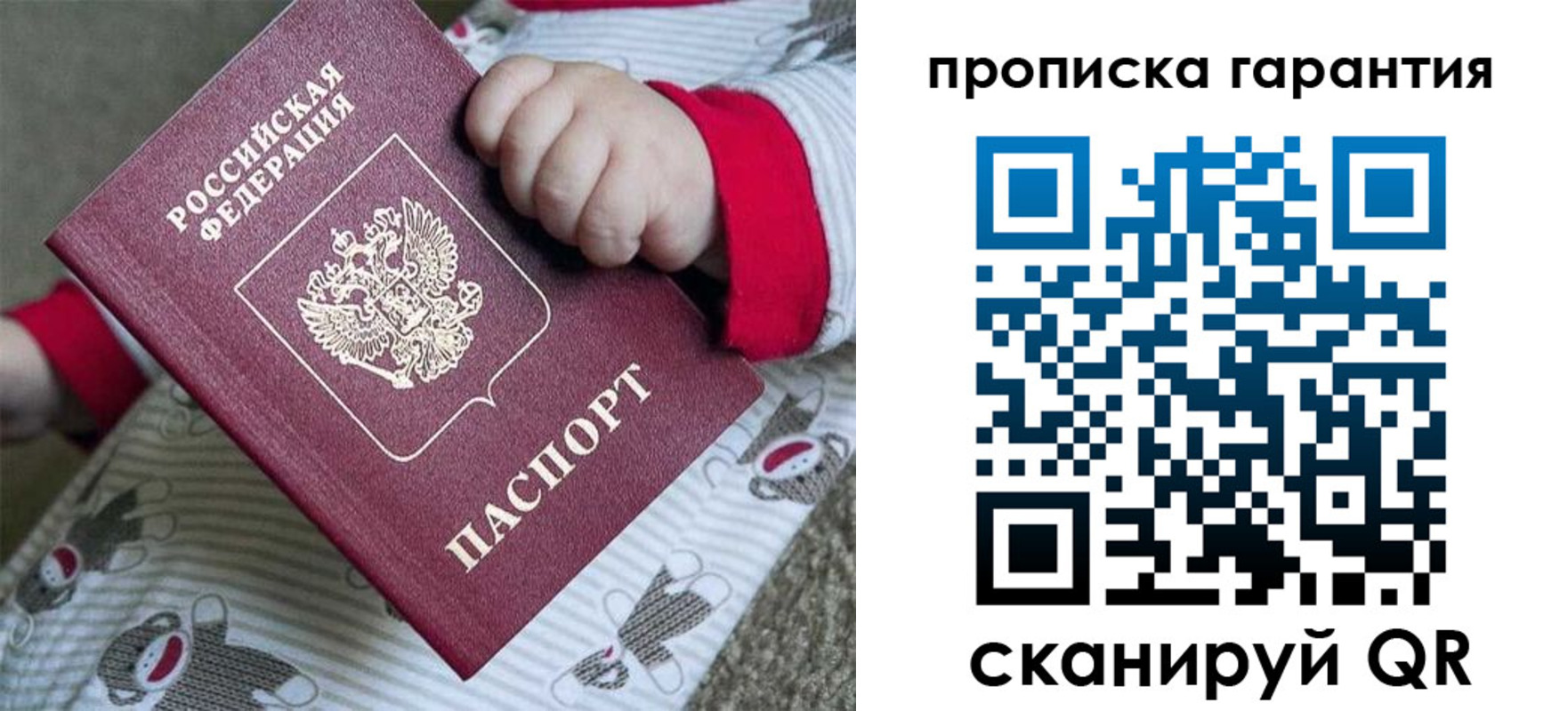 прописка поиск в Бердске